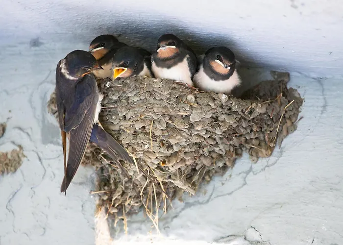 Apartamento Inspektorhaus-behlendorf *